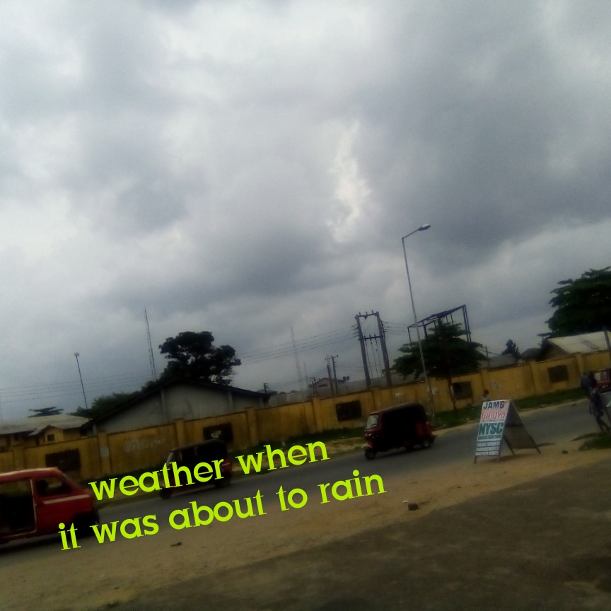 photostudio_1680552113208.jpg