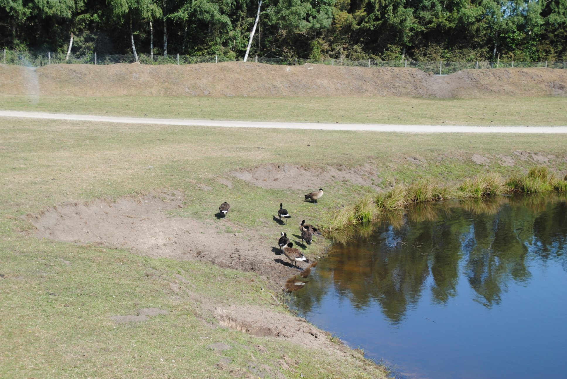 image003.jpg