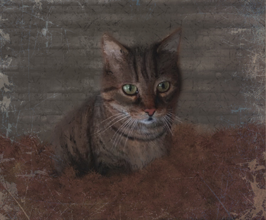 Troubles with cat Katya