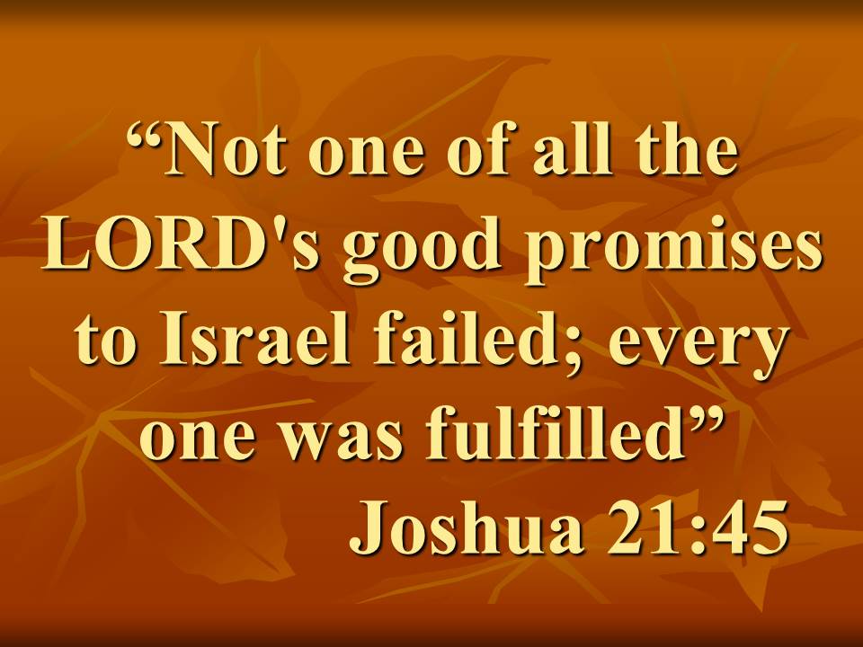 Prophetic history. Not one of all the LORD's good promises to Israel failed; every one was fulfilled.jpg