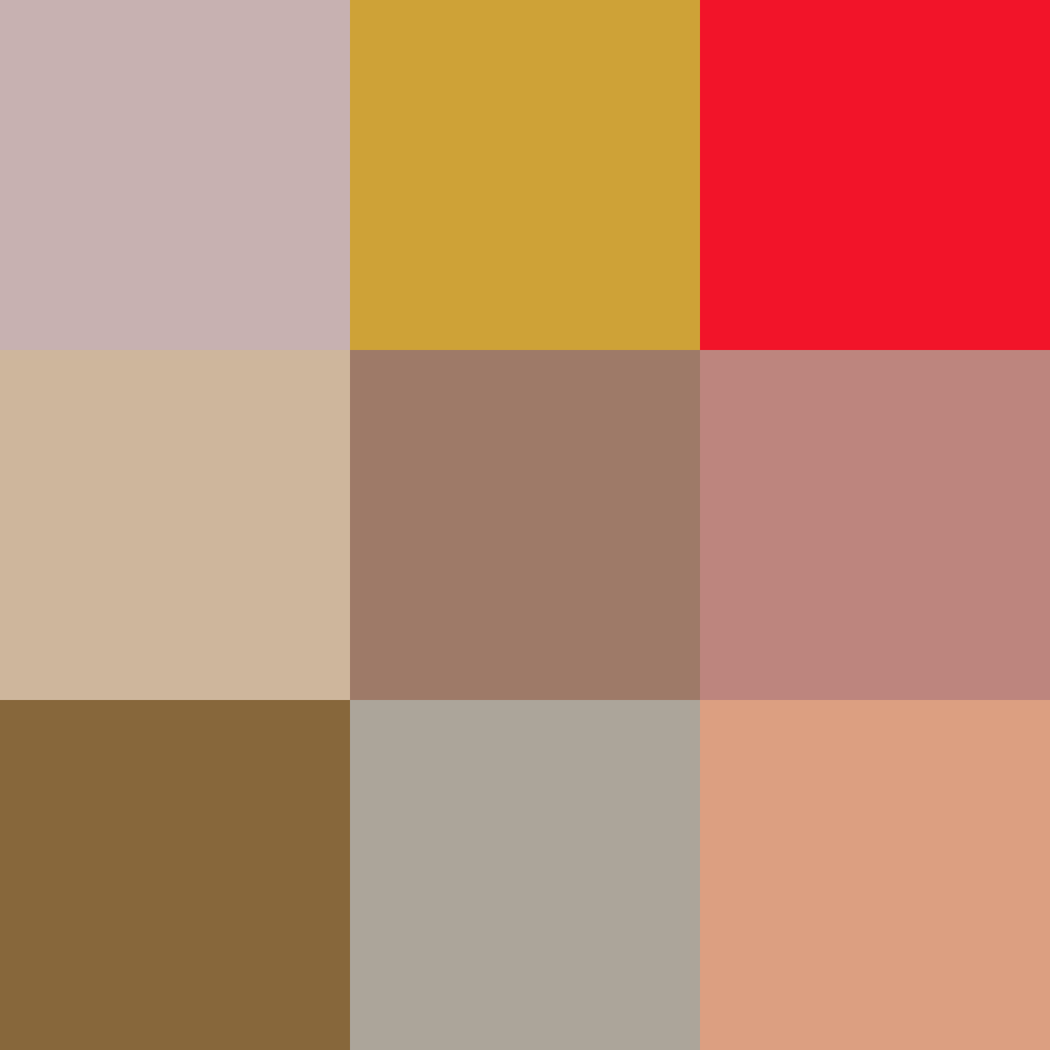 900RI (893).PNG