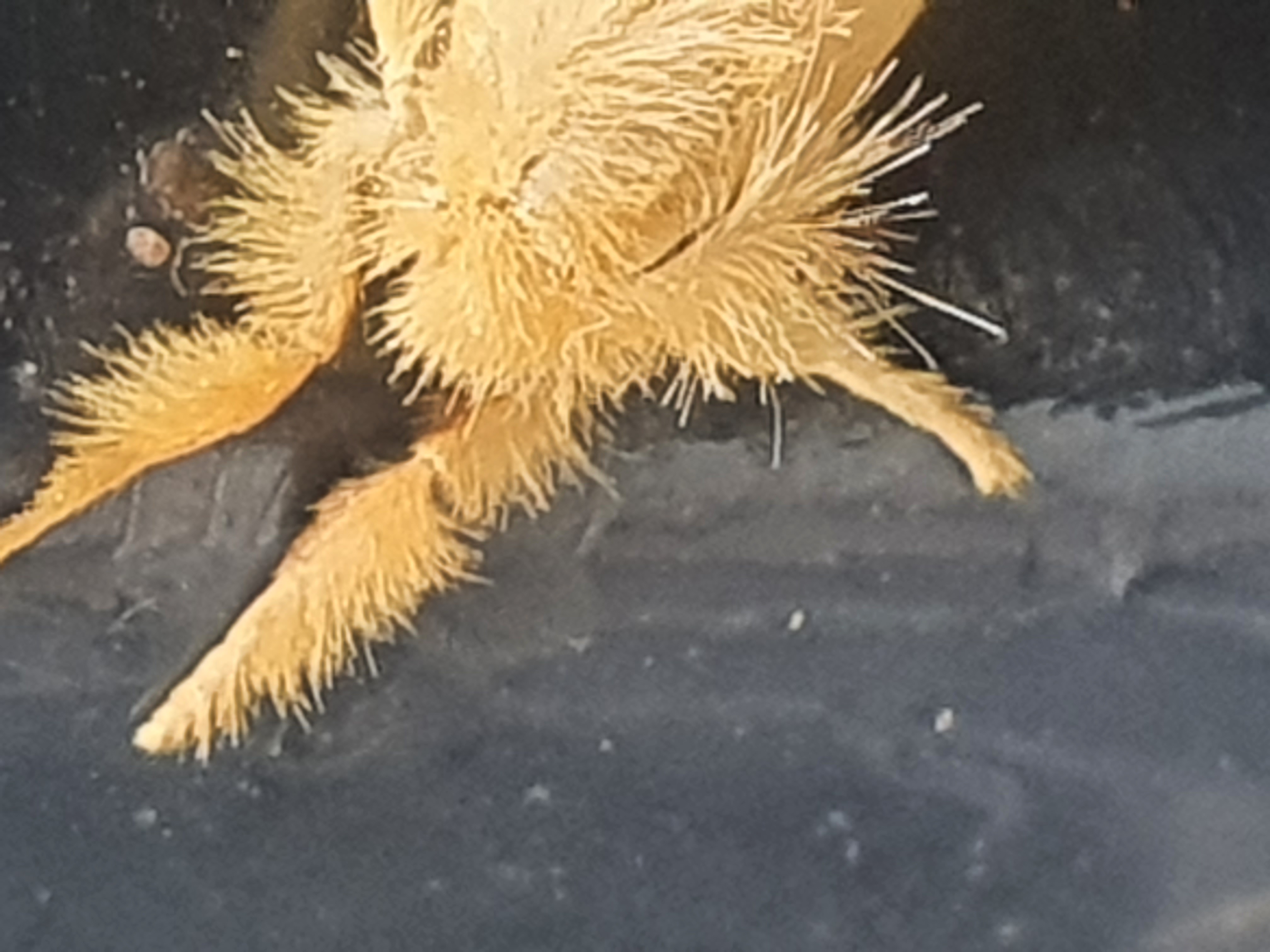 20260219_122733.jpg