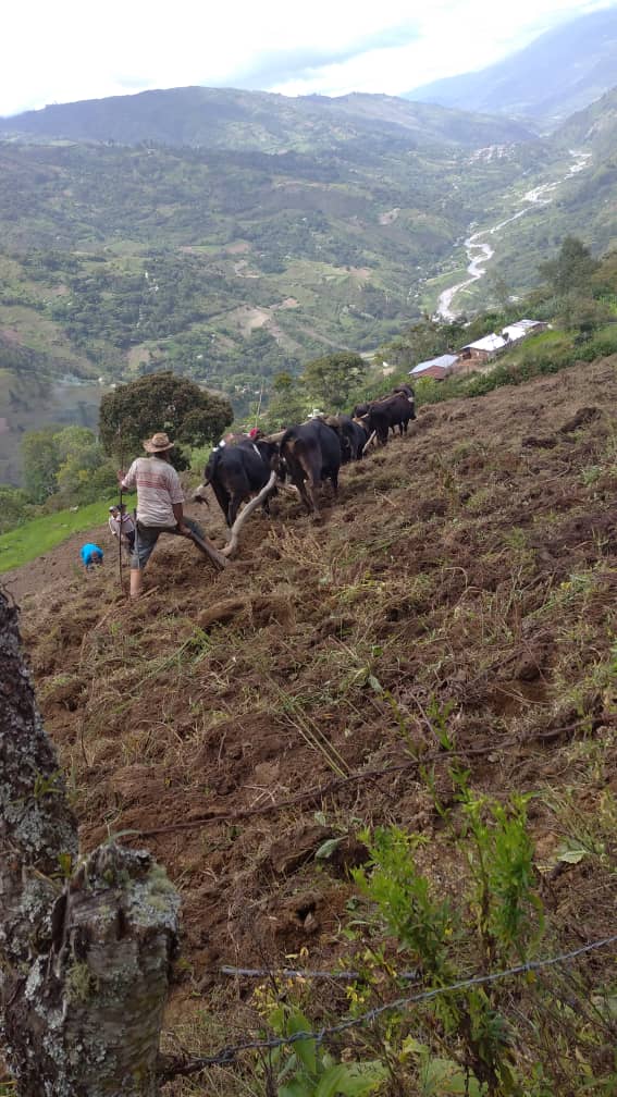 WhatsApp Image 2021-05-23 at 8.50.59 AM (1).jpeg