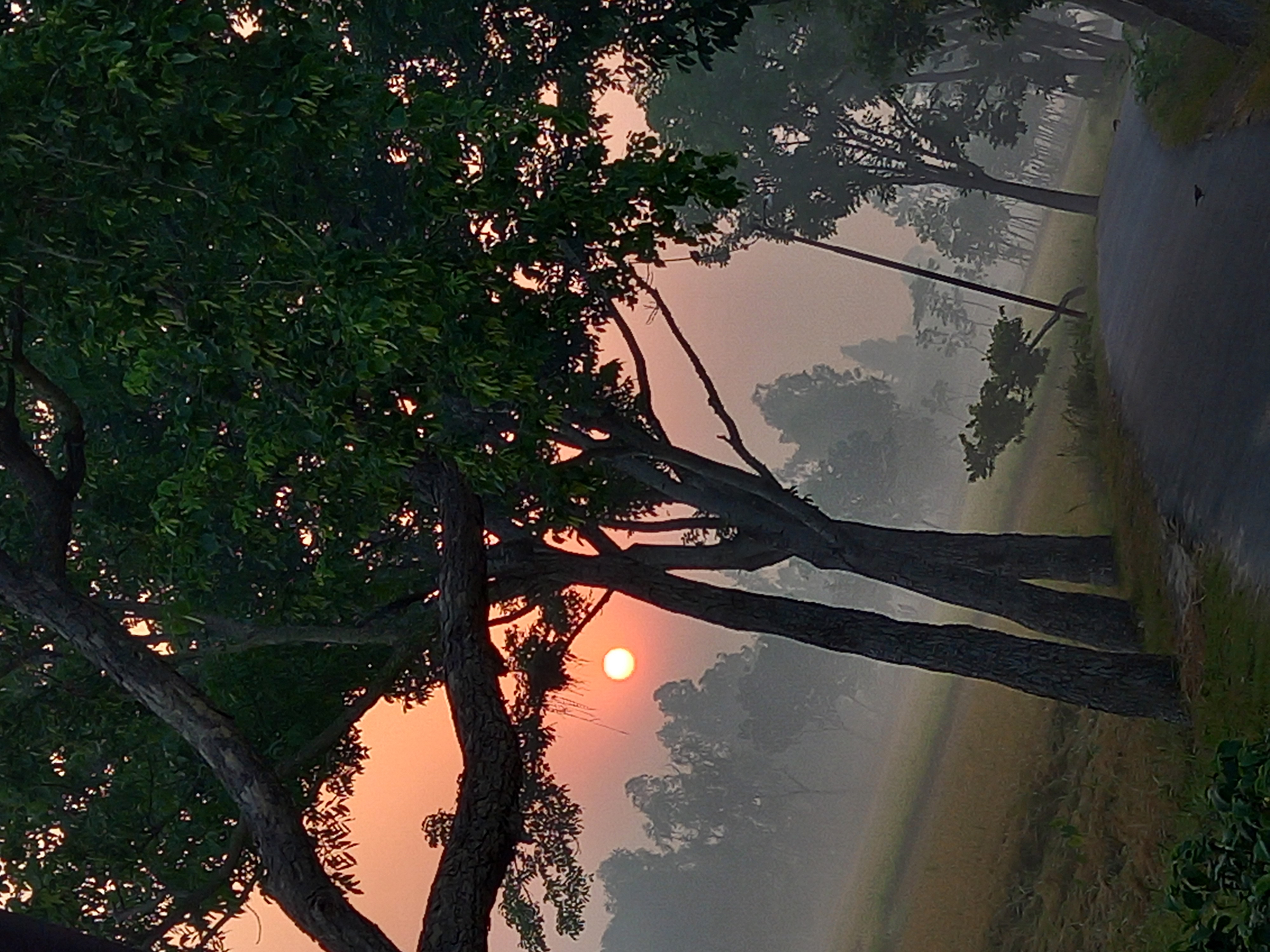 20230508_054655.jpg