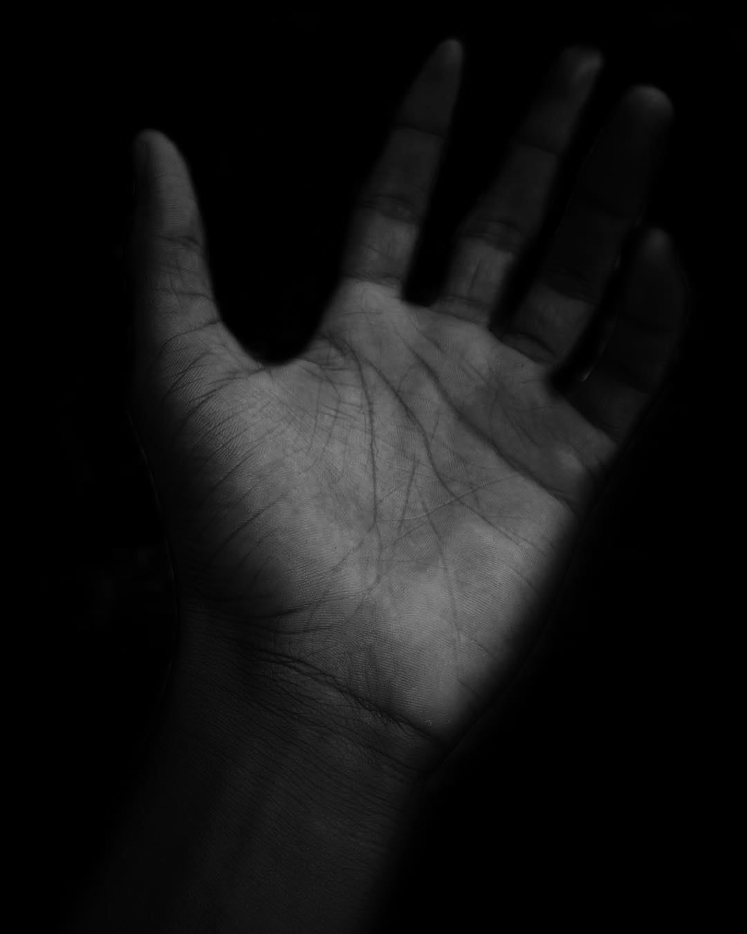 54513145_437943133675778_7159087201956329006_n (1).jpg