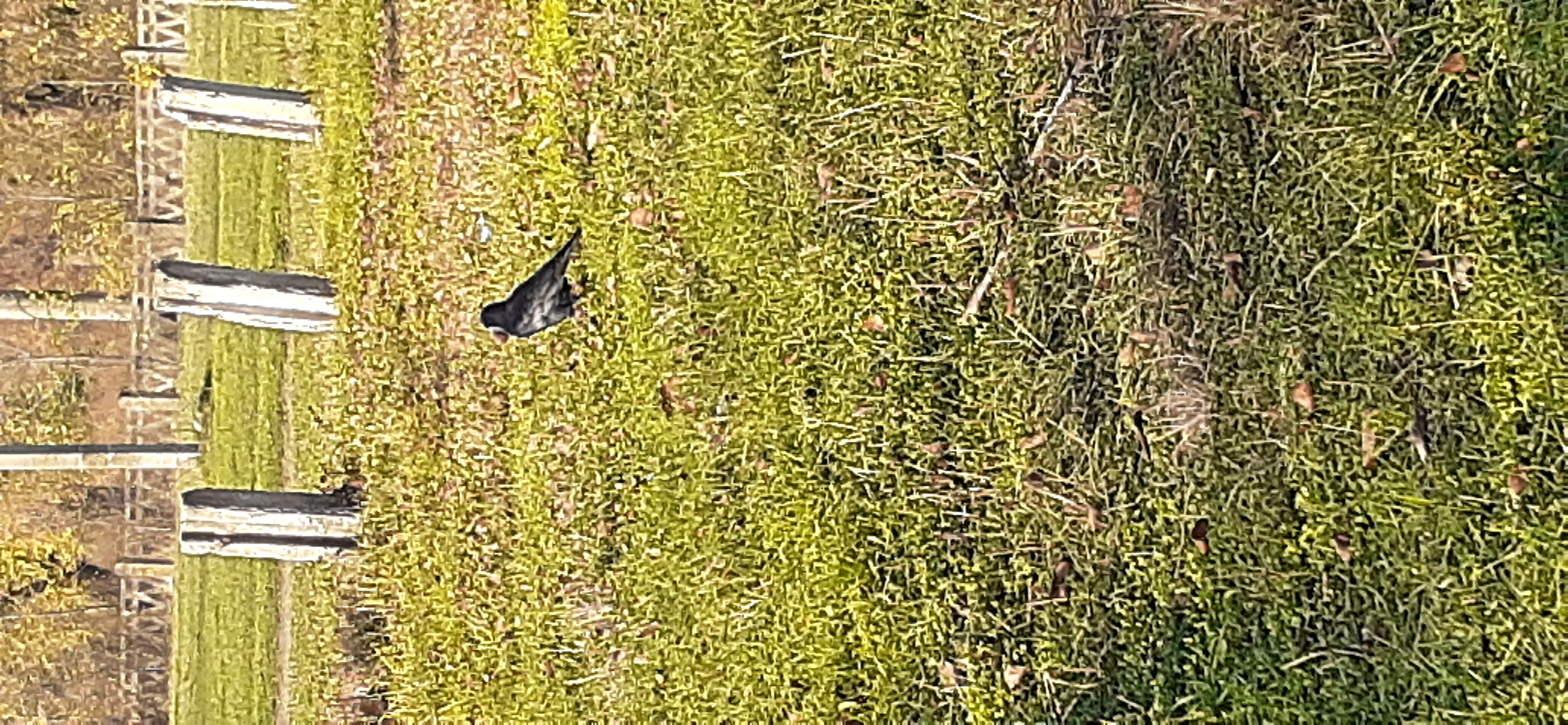 20201112_142706.jpg