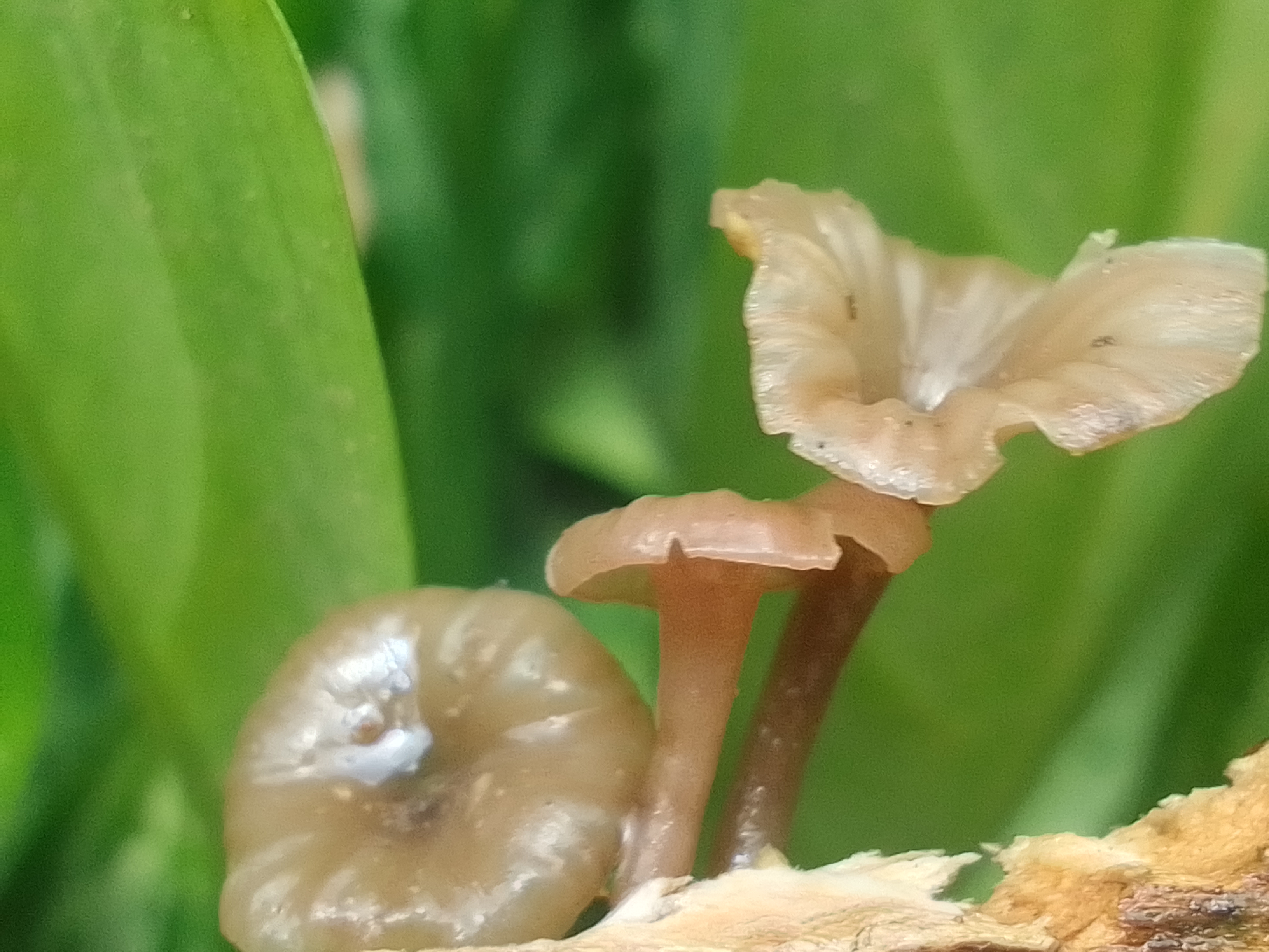 IMG_20220504_101601_HDR.jpg