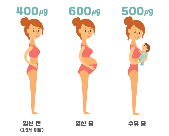 임신 13주차 임신과 엽산 (1).png
