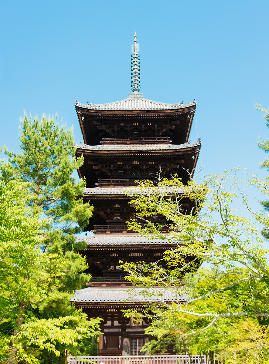 temple7.jpg