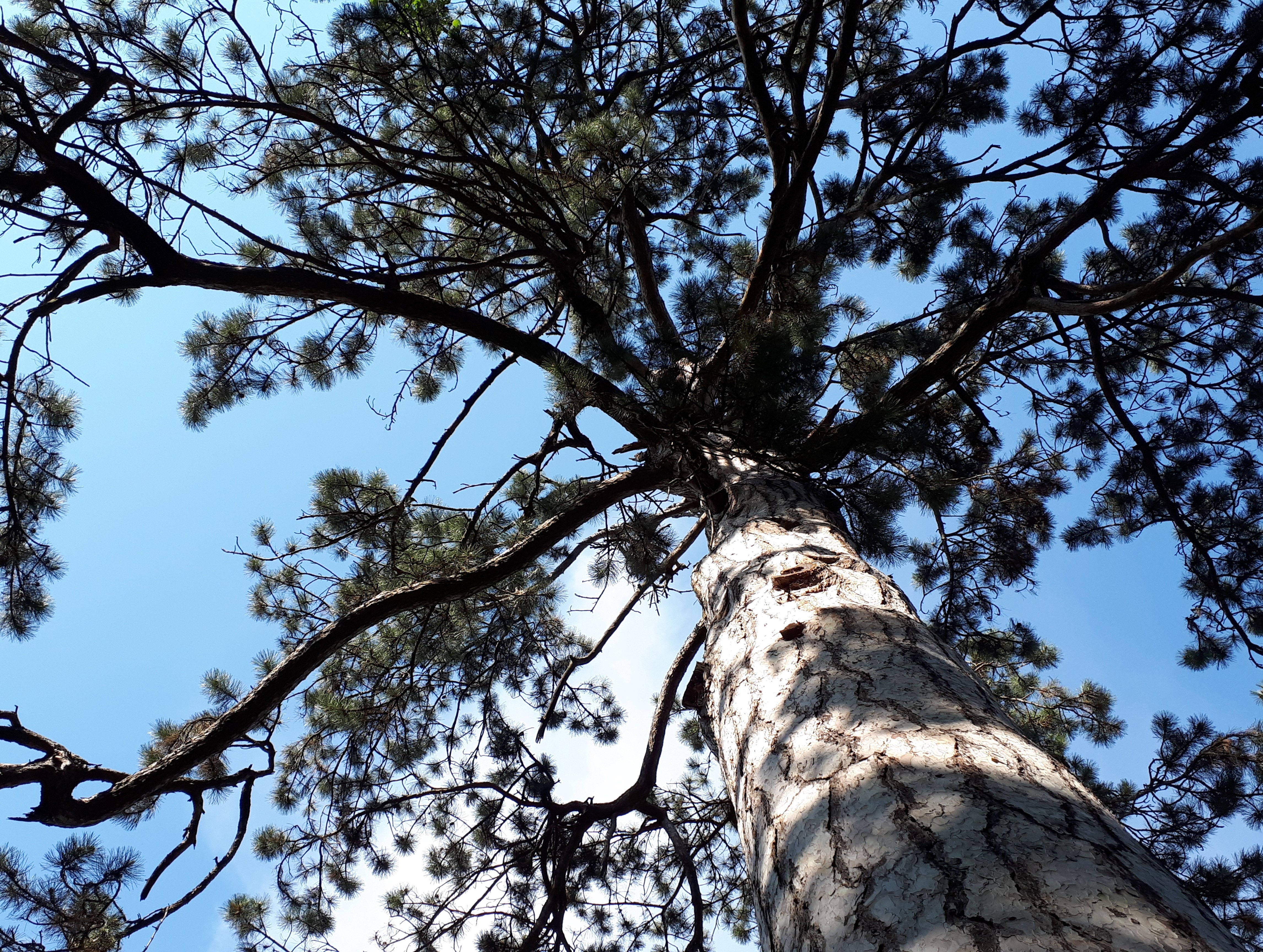 20190502_164054.jpg