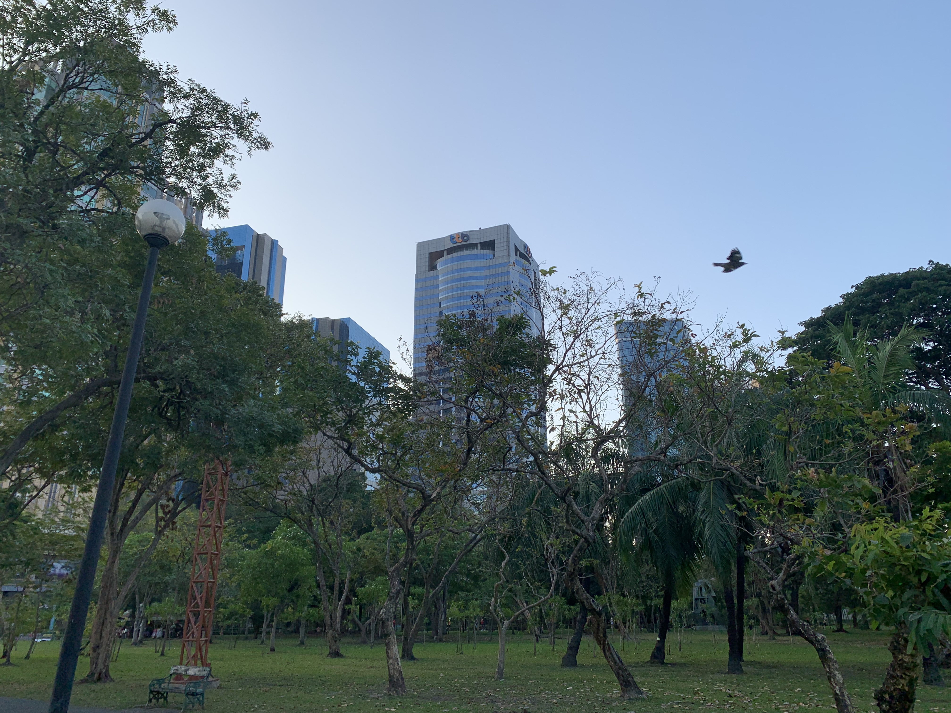 Chatuchak Park210.jpg