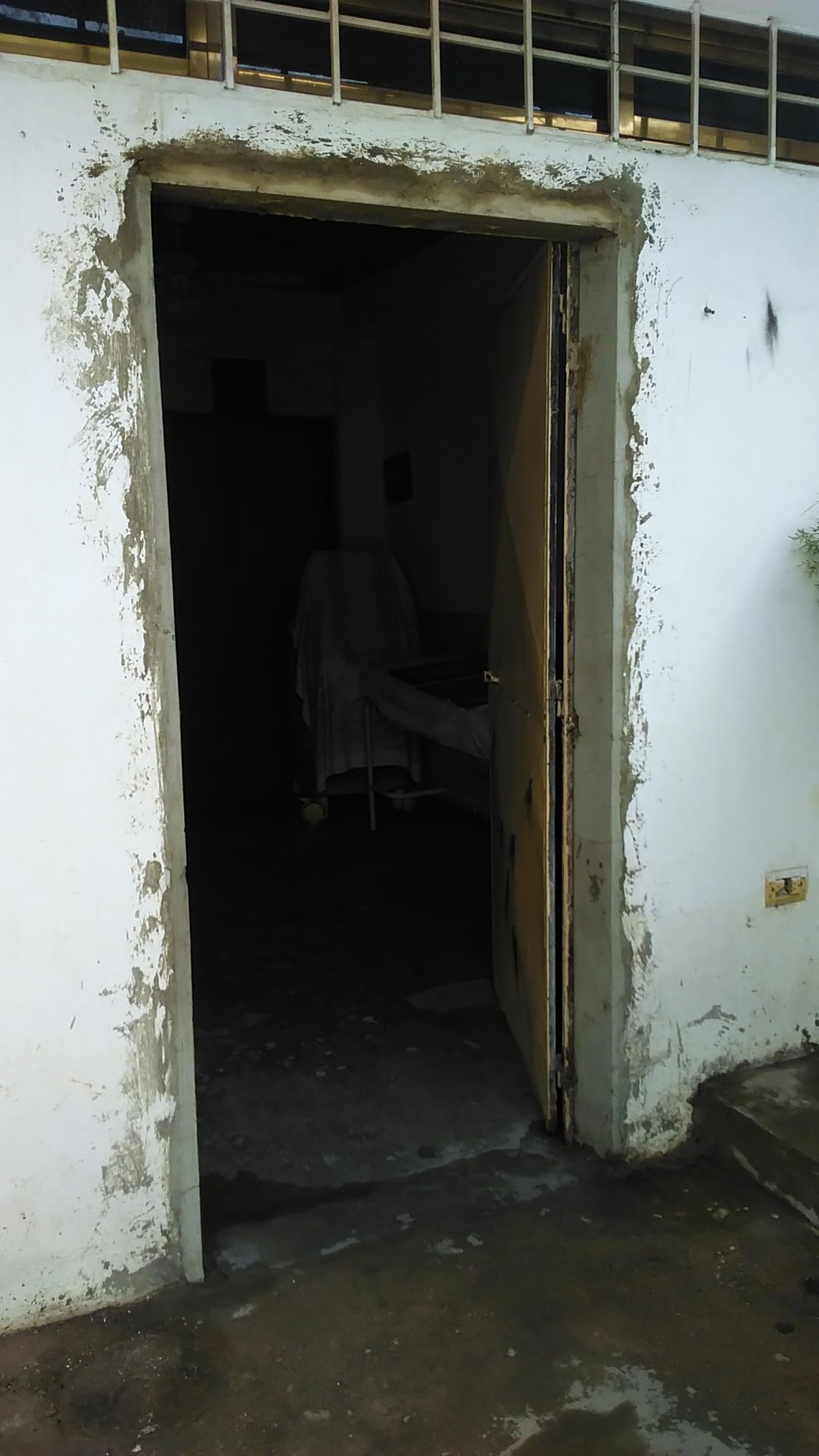 WP_20210405_15_32_09_Pro.jpg