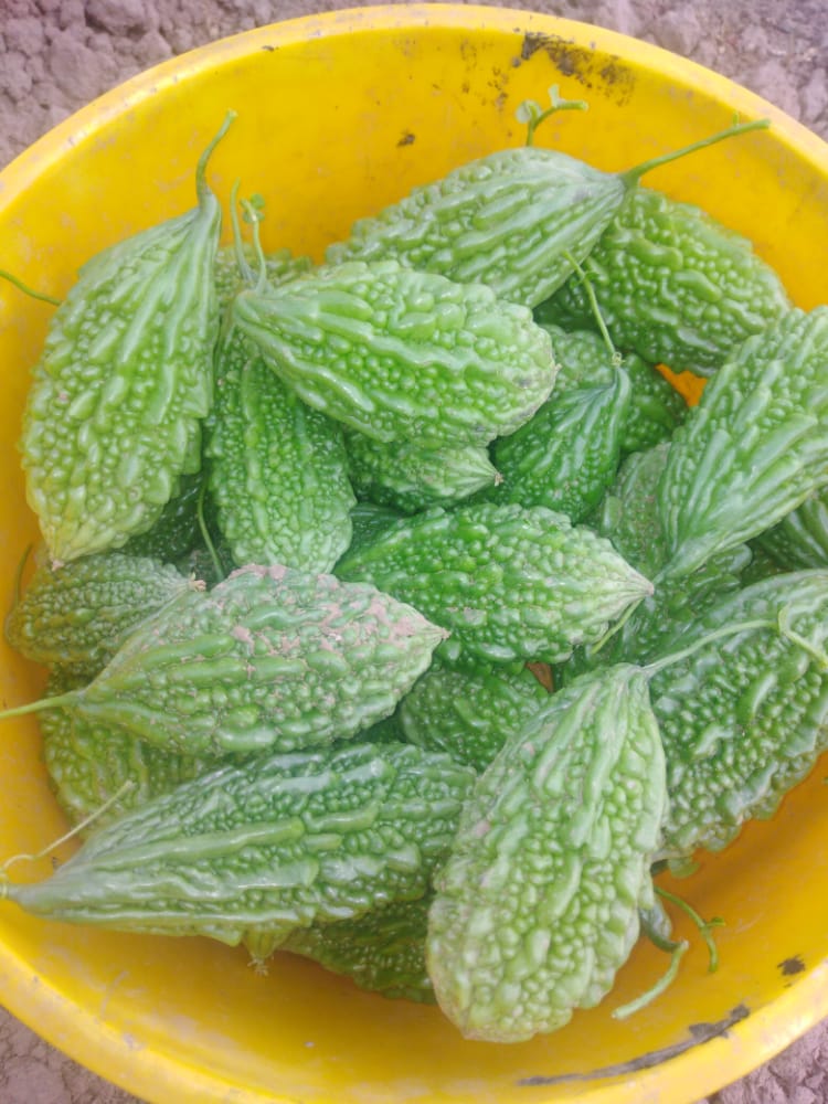 IMG-20201214-WA0004.jpg