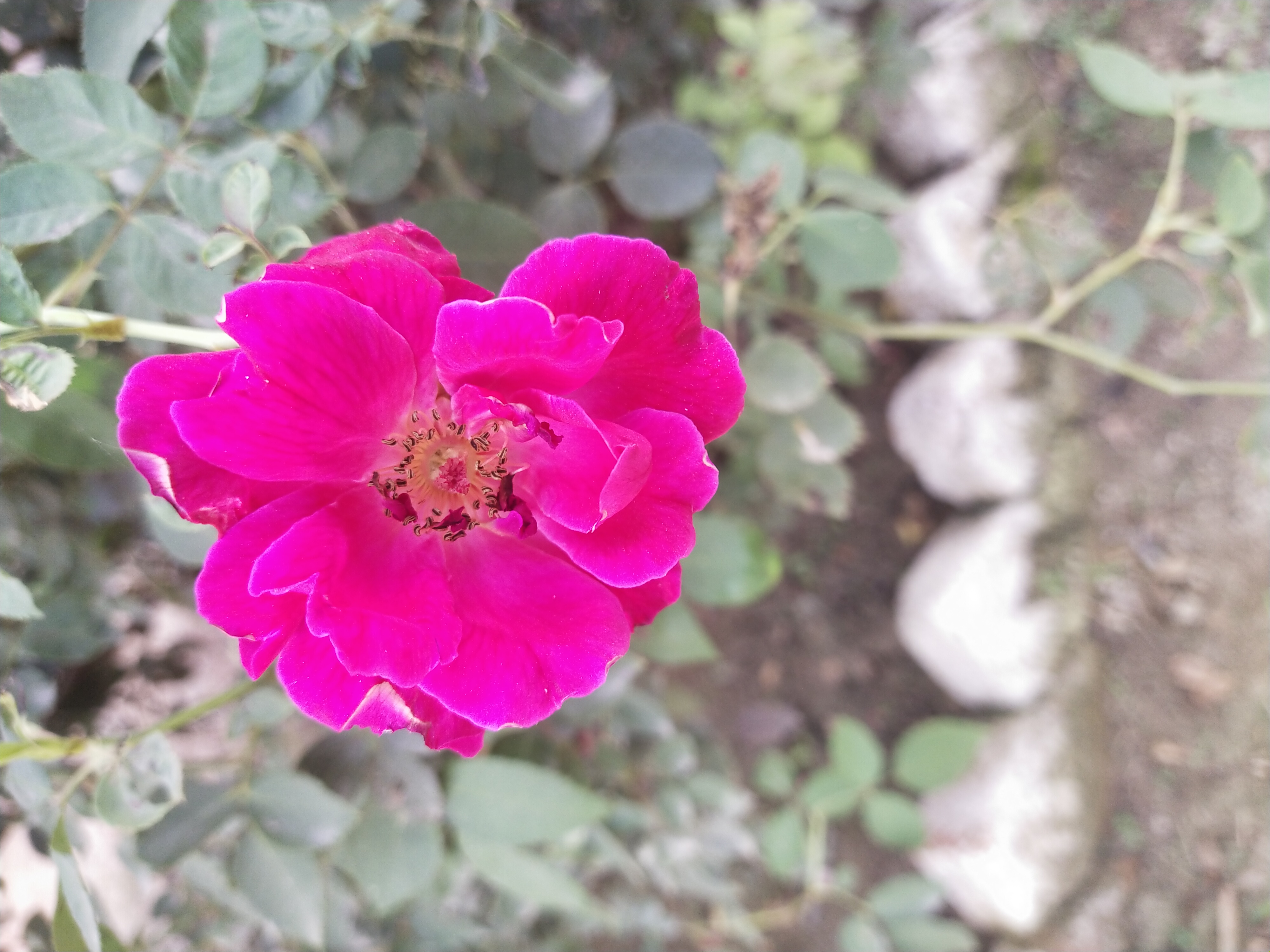 IMG_20210920_082902.jpg