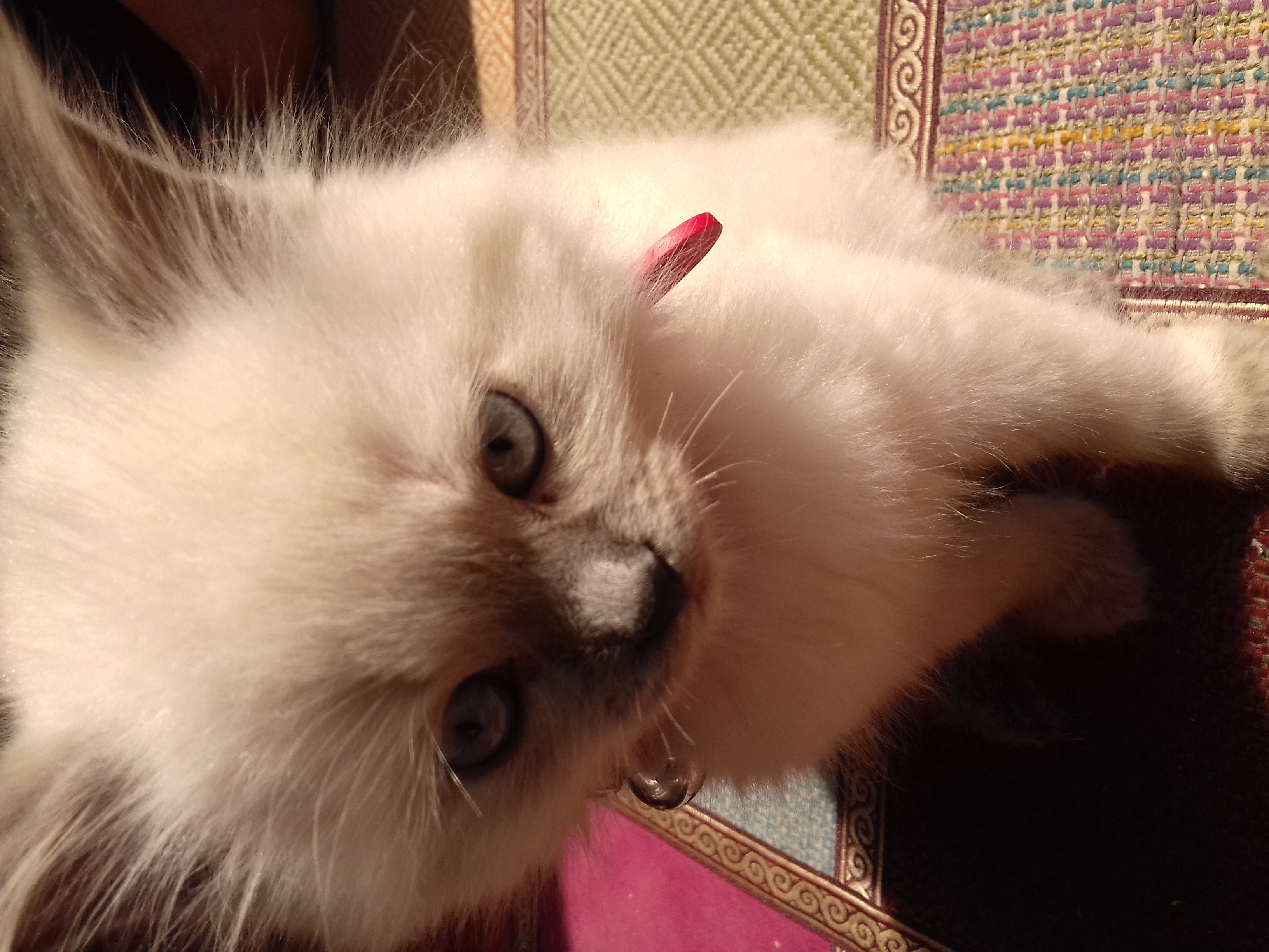 20190330_113719.jpg
