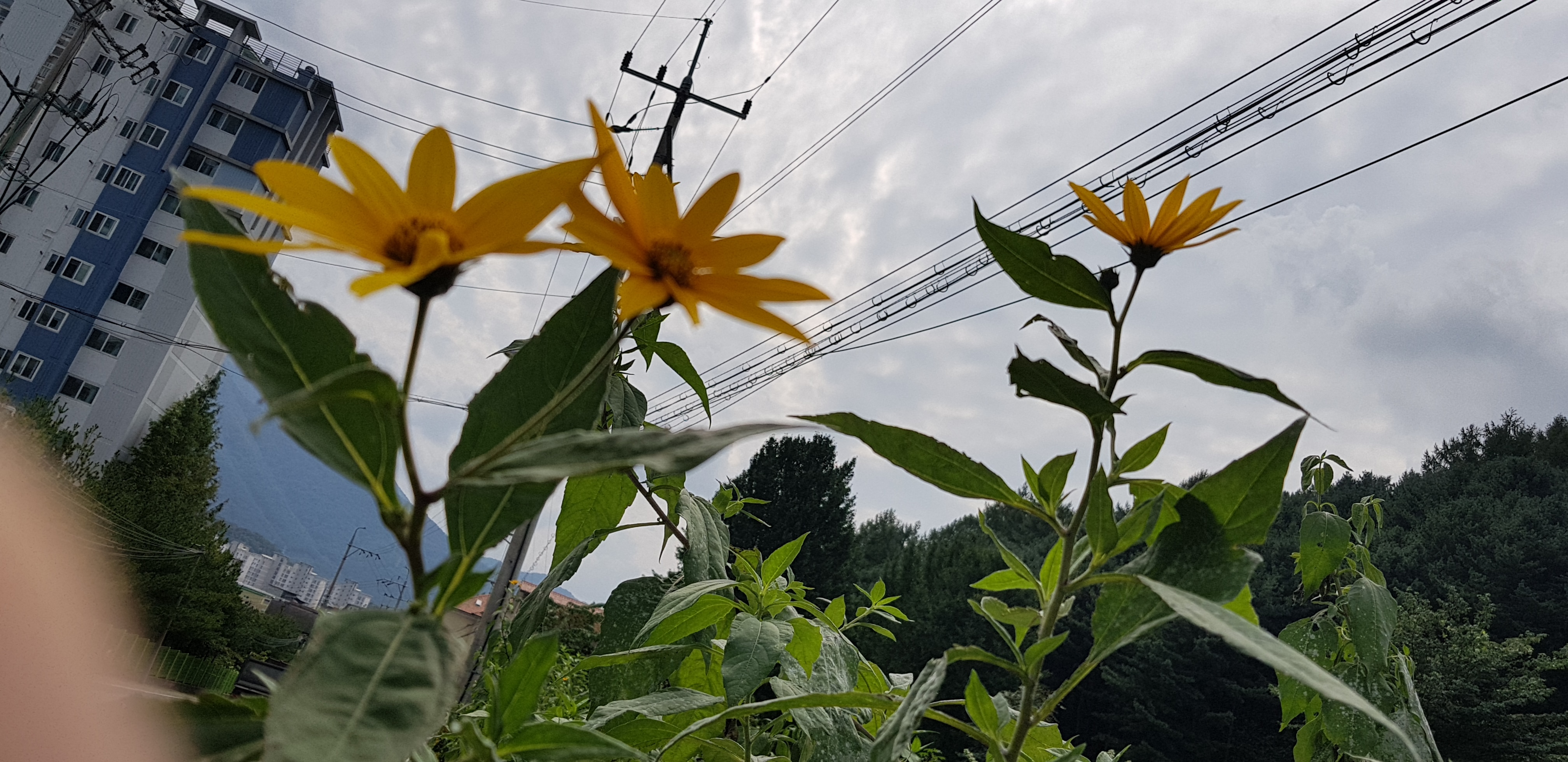 20190928_131127.jpg