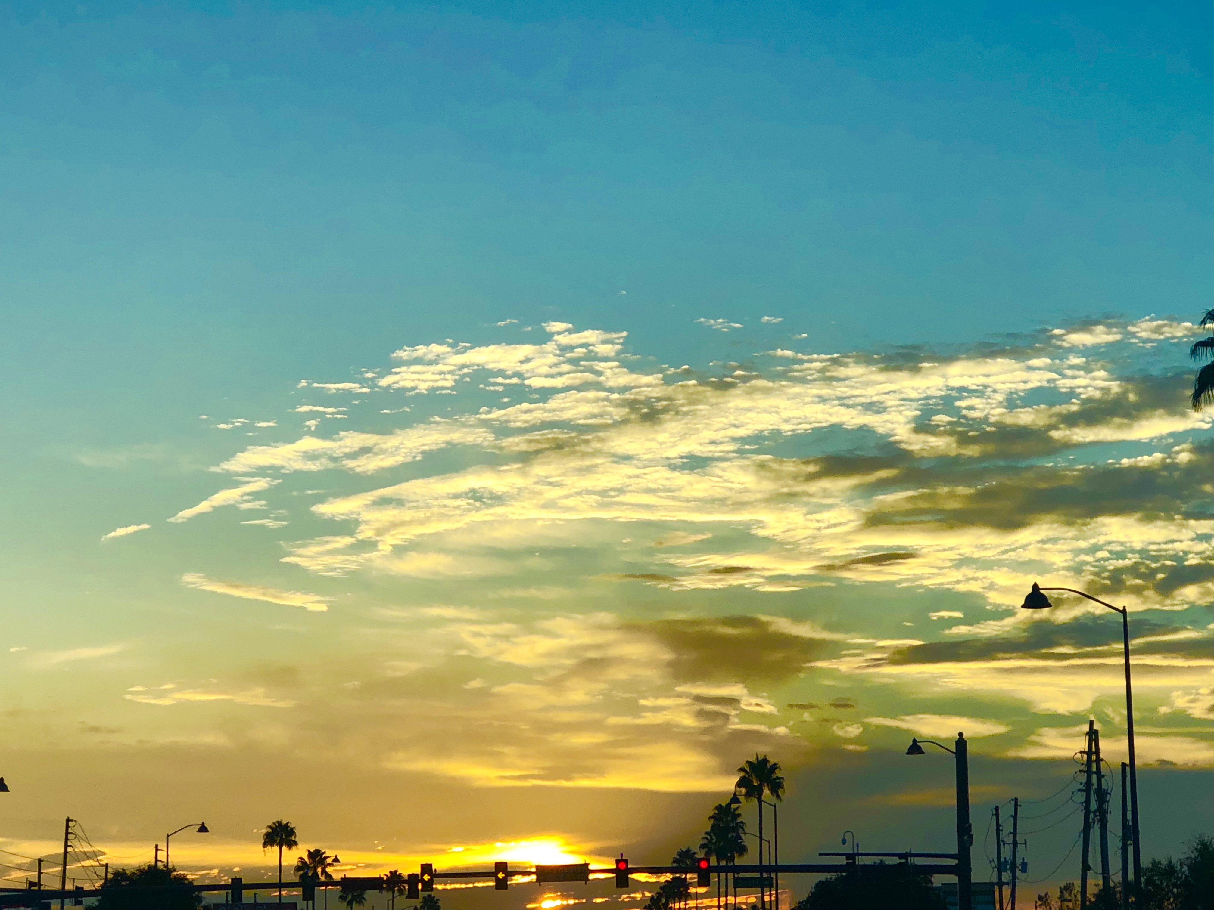 281399DB-96F1-46F9-815F-18E73804A4F7.jpeg