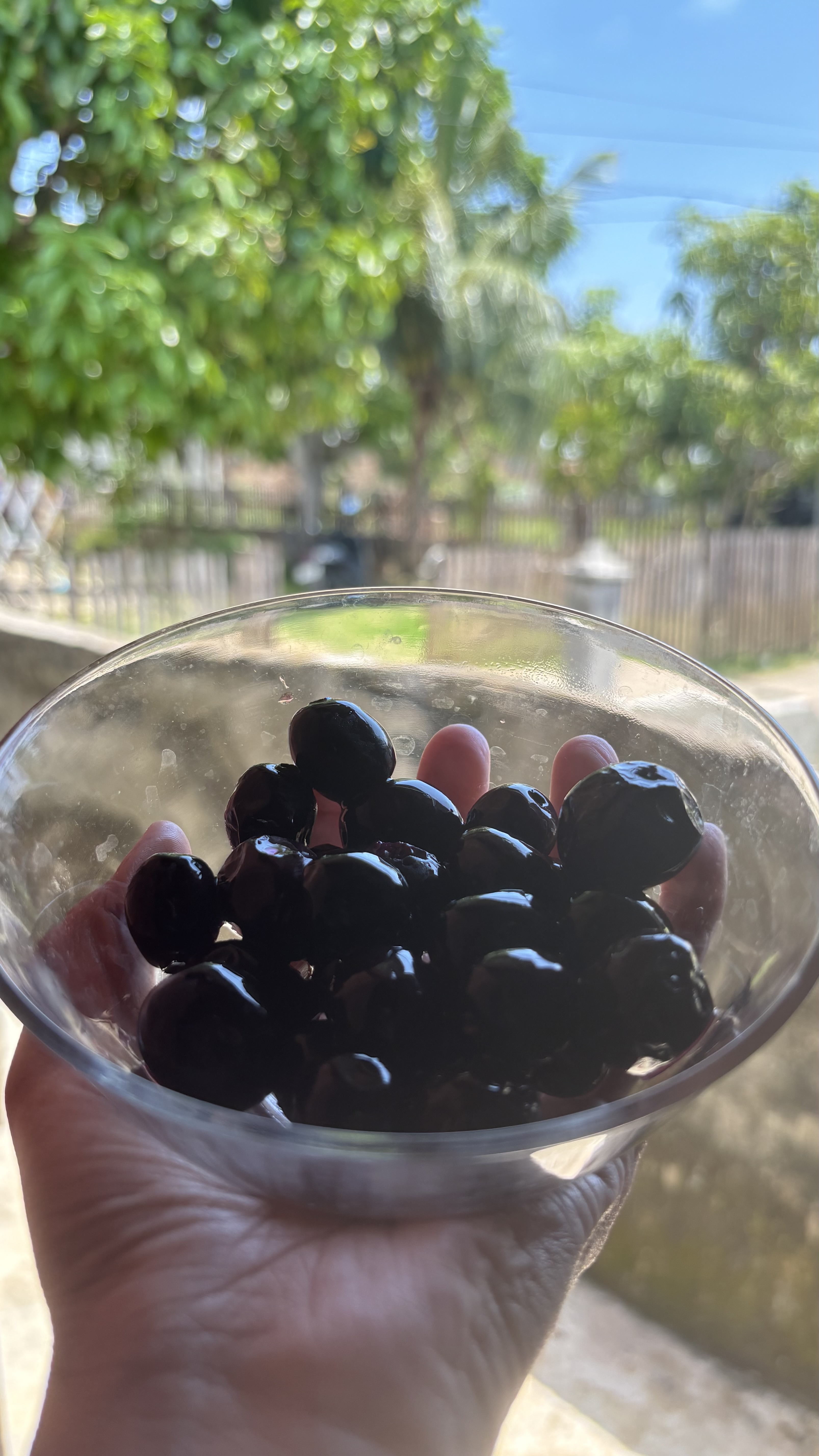 IMG_8101.jpeg