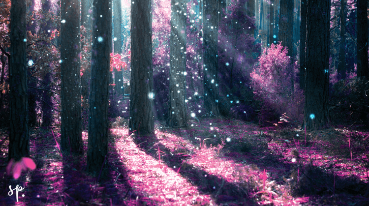 trees and energy (1).png