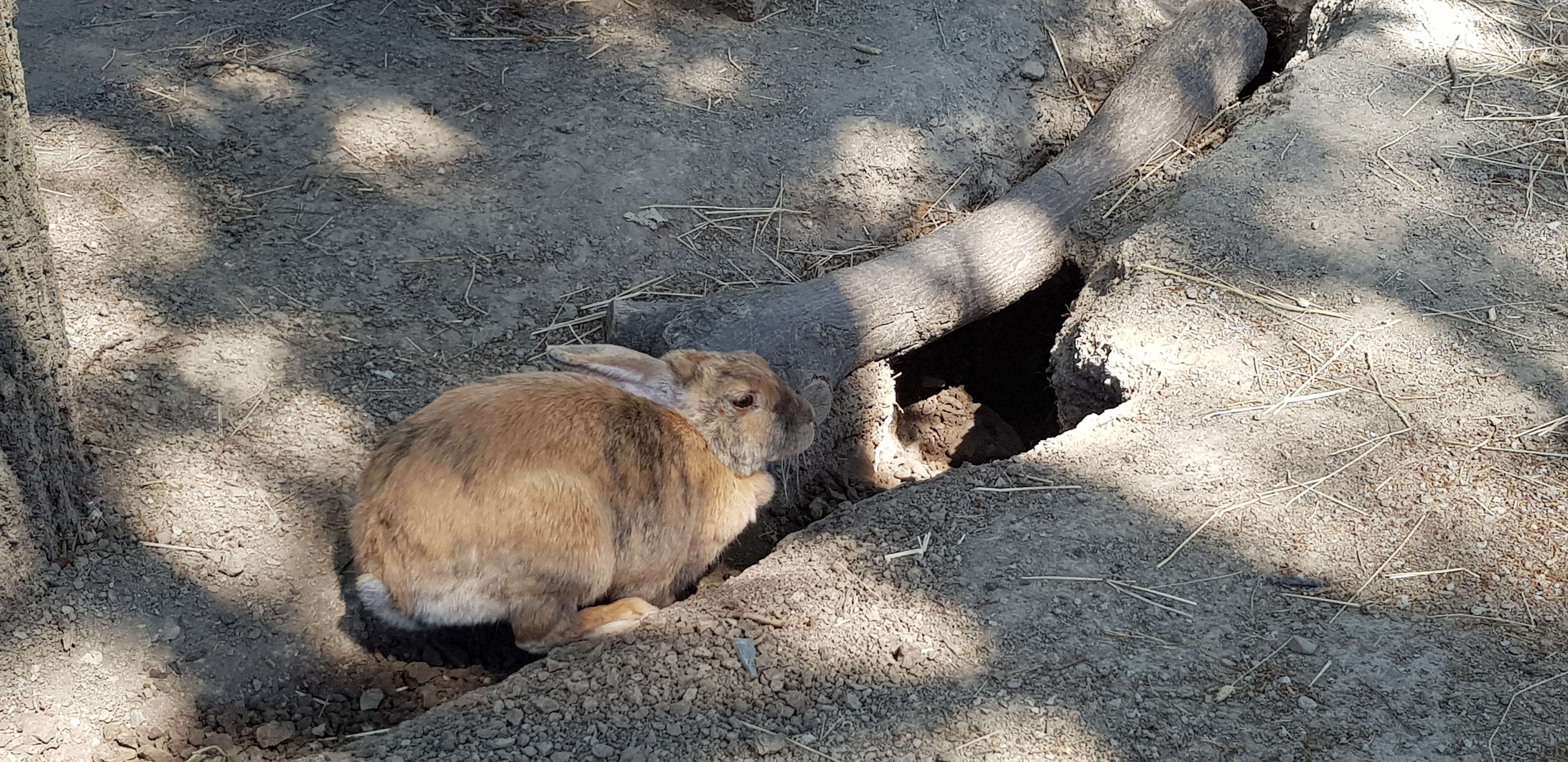 20180701_133059.jpg