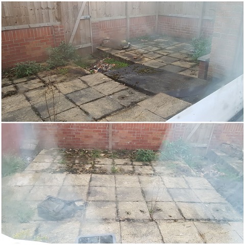 Back garden.jpg