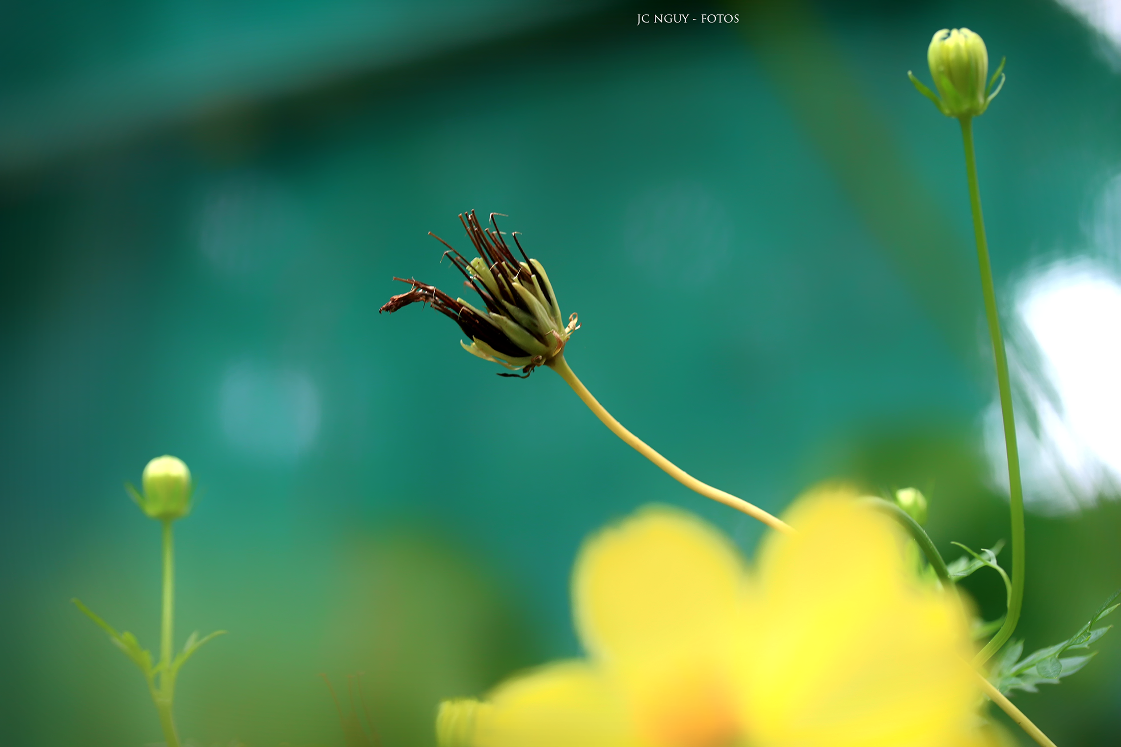 IMG_9458.png