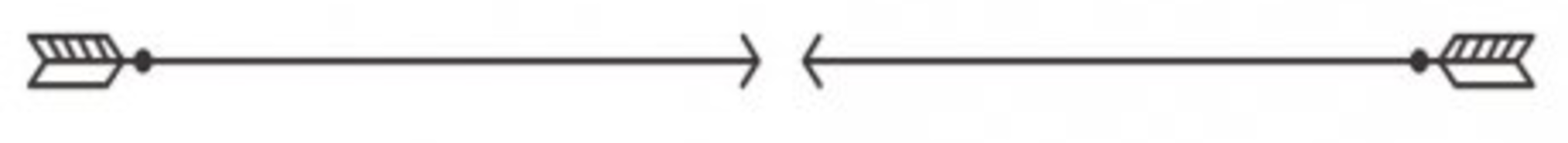 separador (1).png