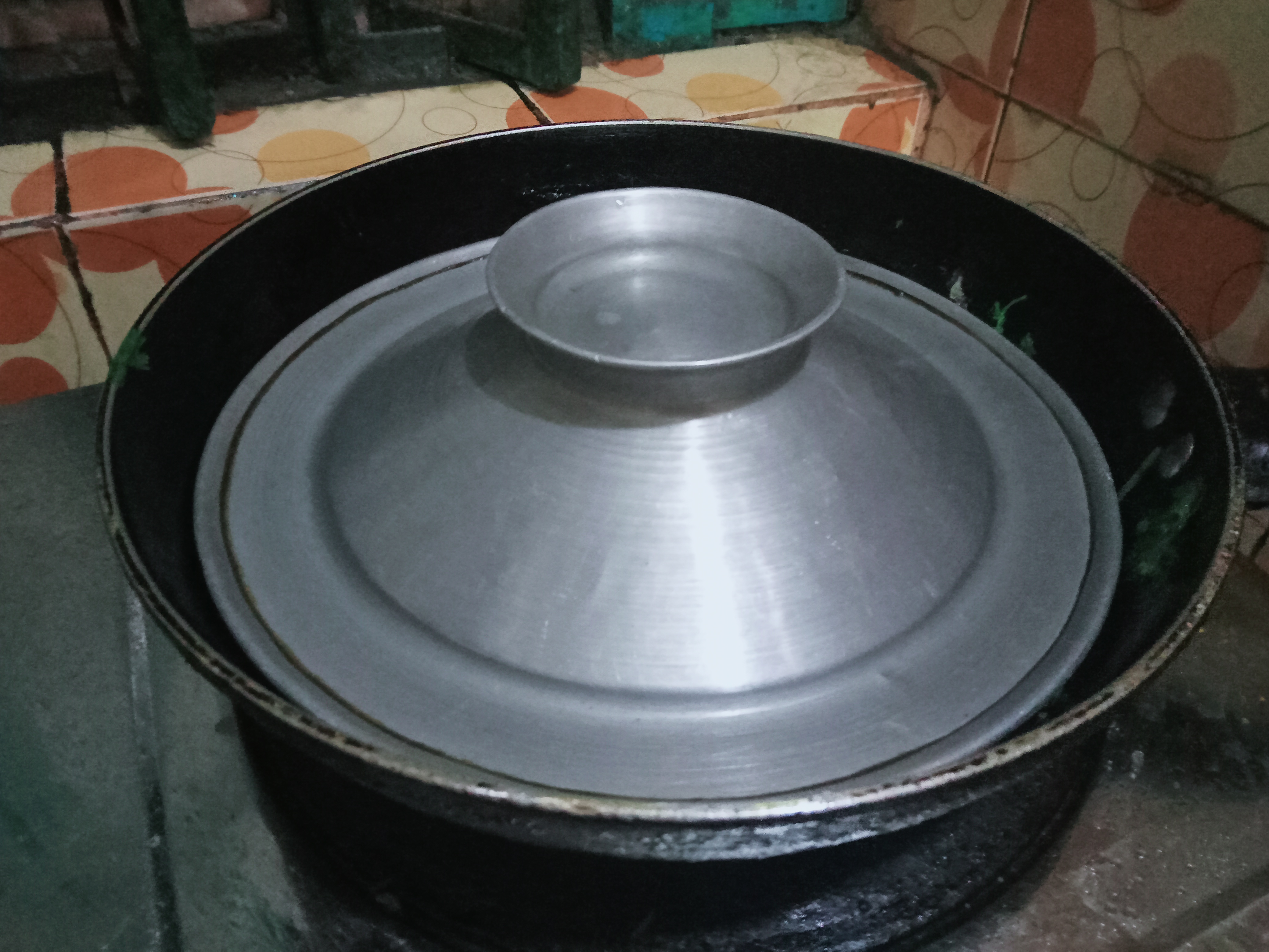 Dhania pata (9).jpg