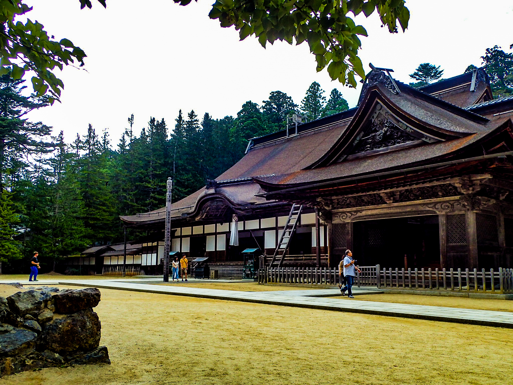 LRM_EXPORT_20180610_142920.jpg