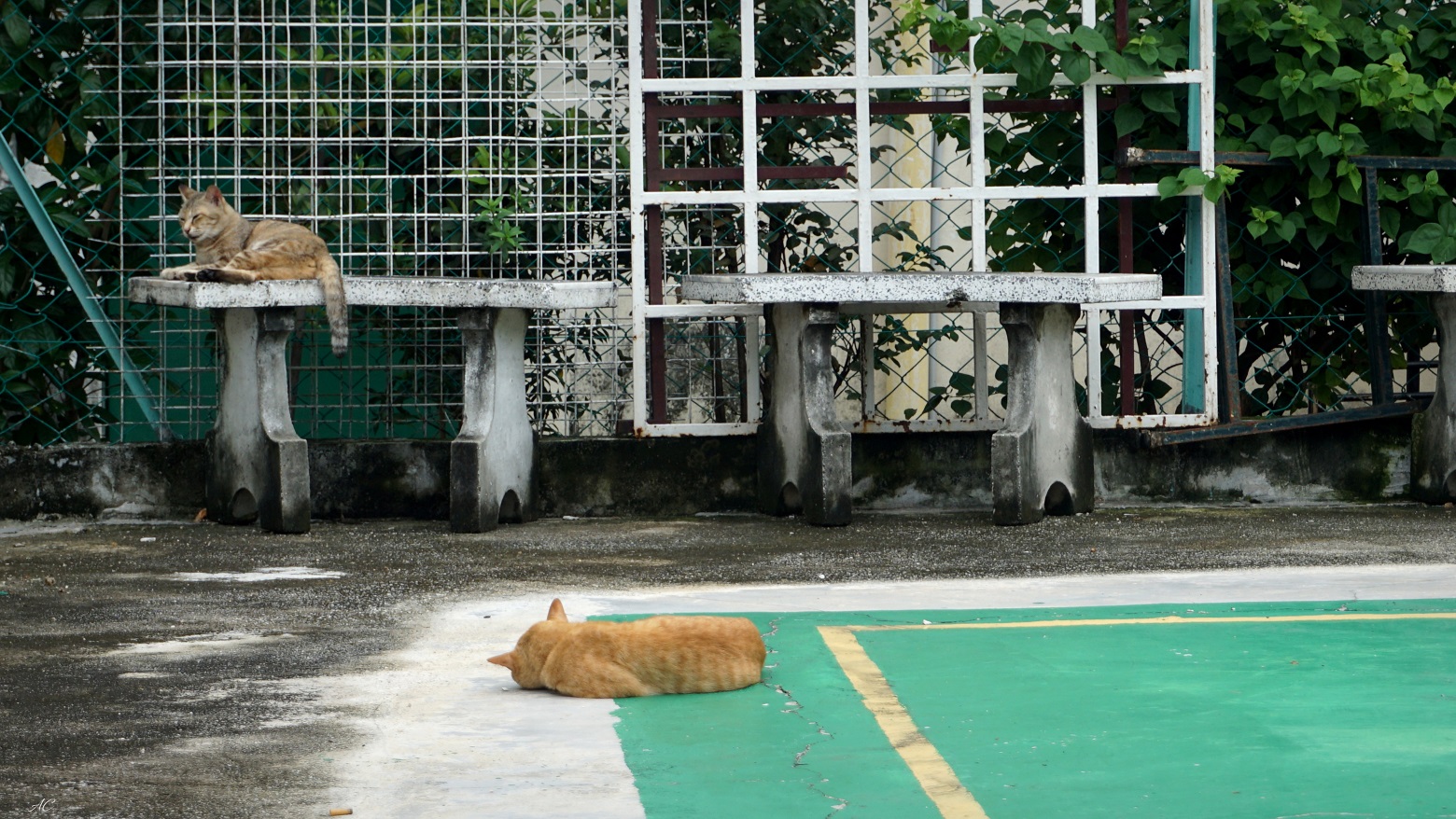 DSC08672b.jpg