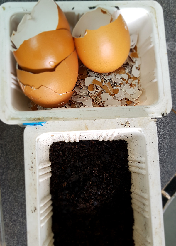 Compost05.jpg