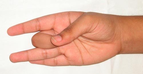 shunya-mudra.jpg