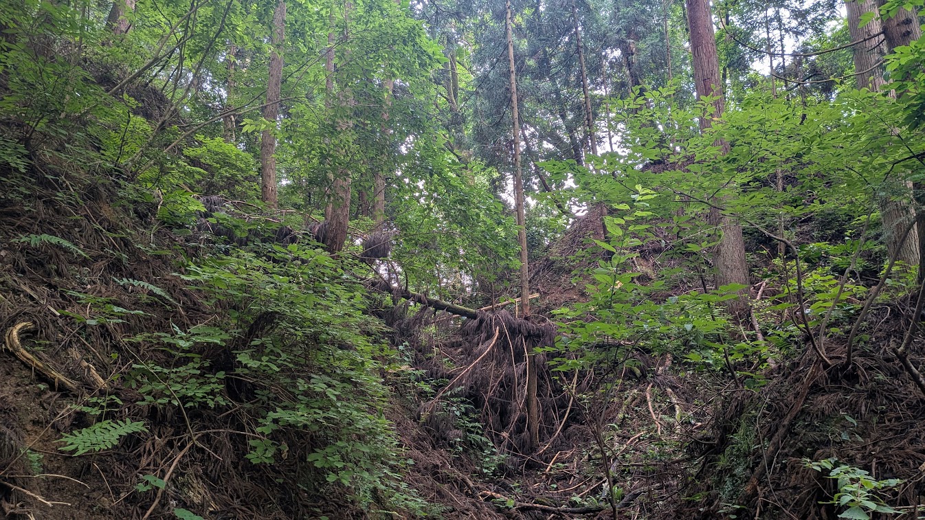 PXL_20260703_224643905.jpg