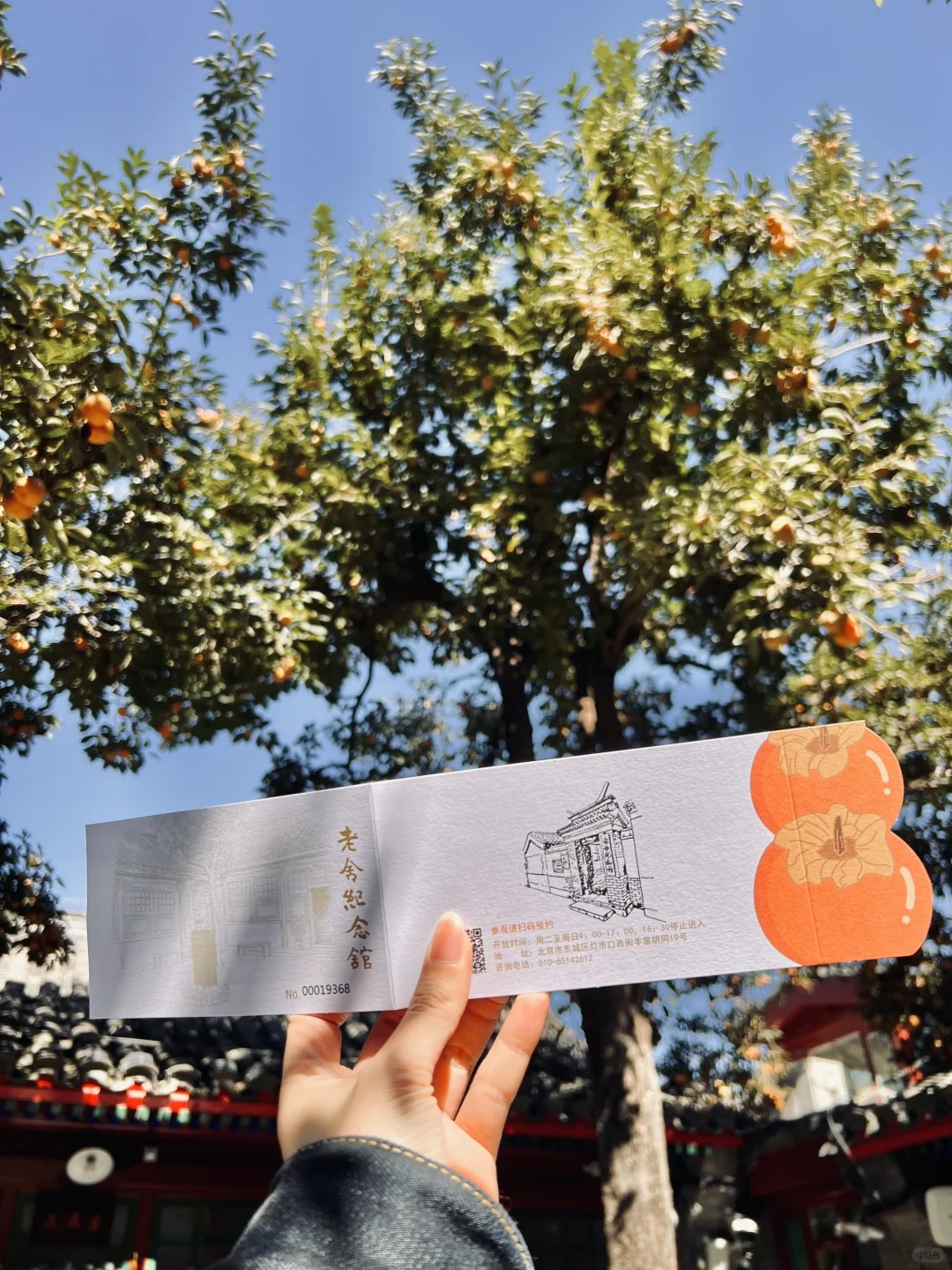 10.10live图🍊北平之秋来了 (4).jpg
