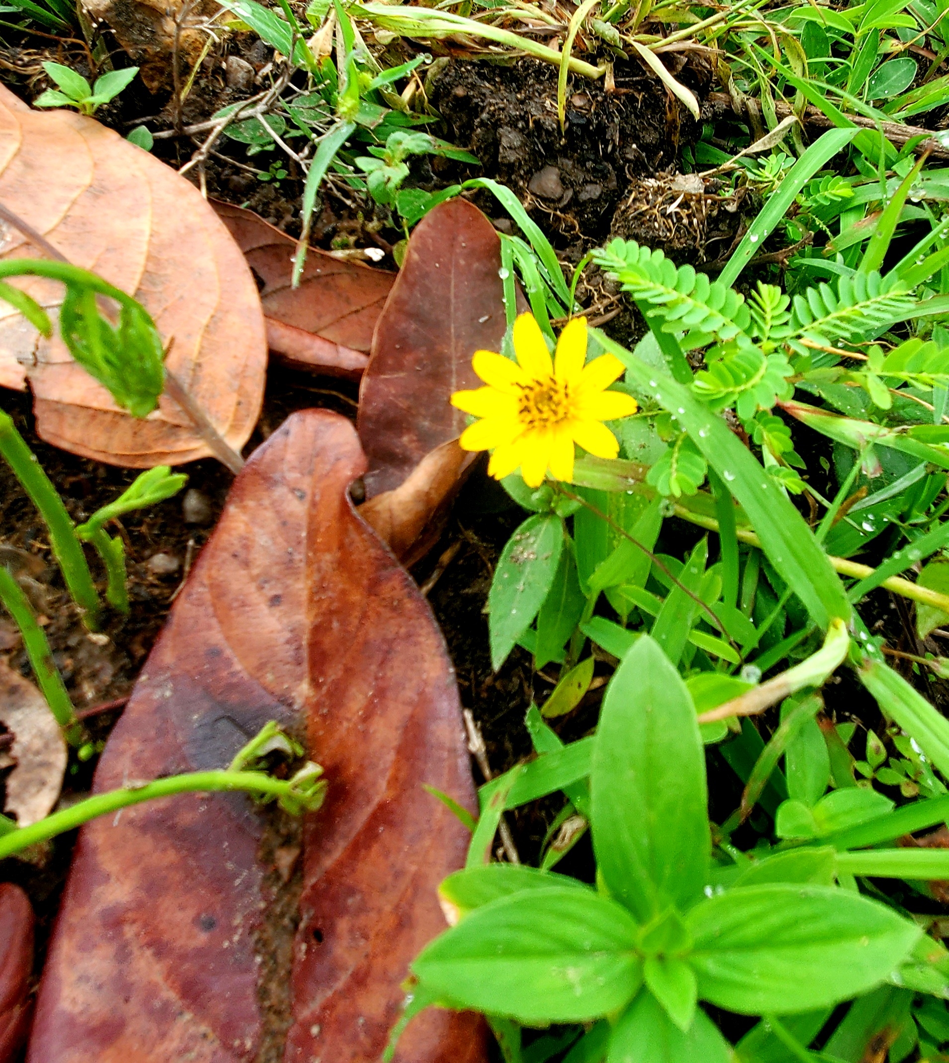 20220605_093116.jpg