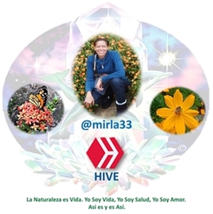 Logo Hive.jpg