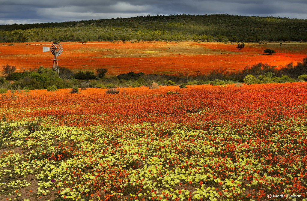 Namaqualand.jpg