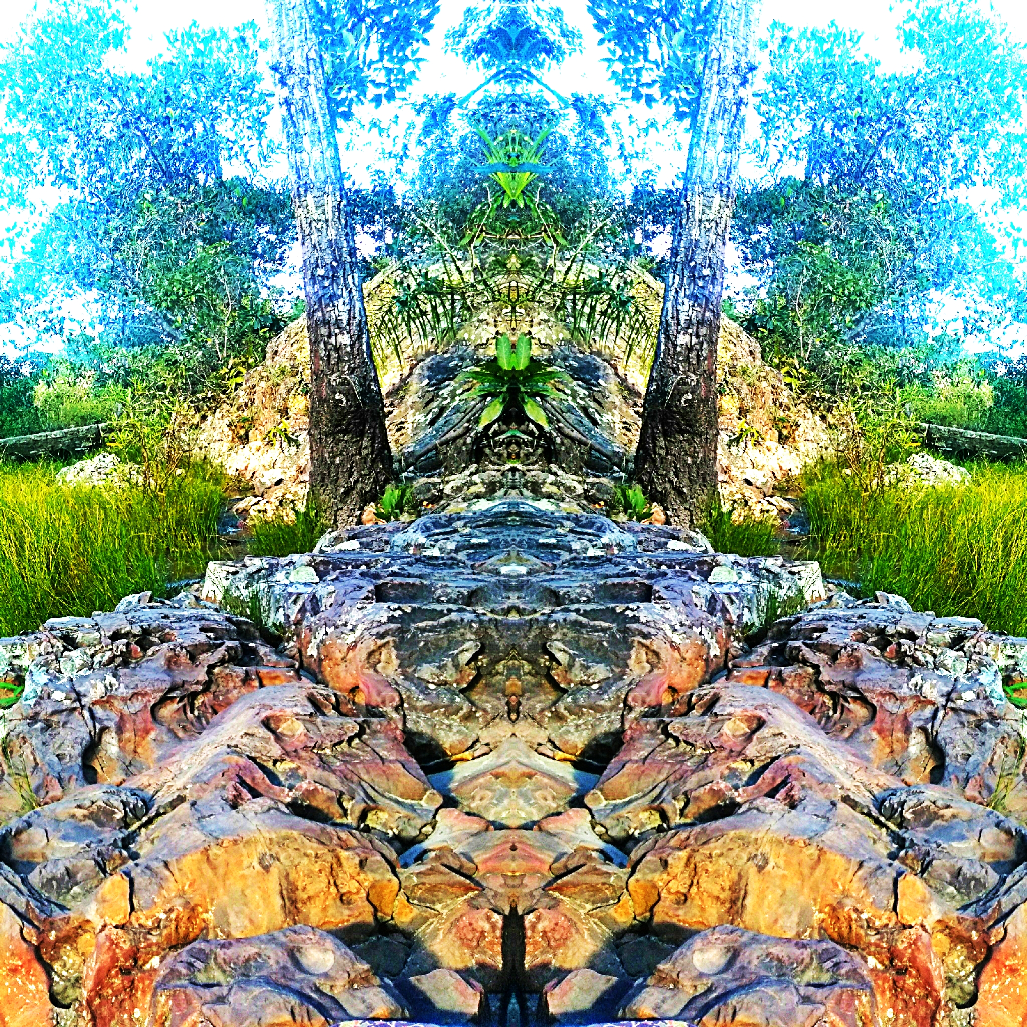 image3A45135_mirror_20190310195356368.jpg