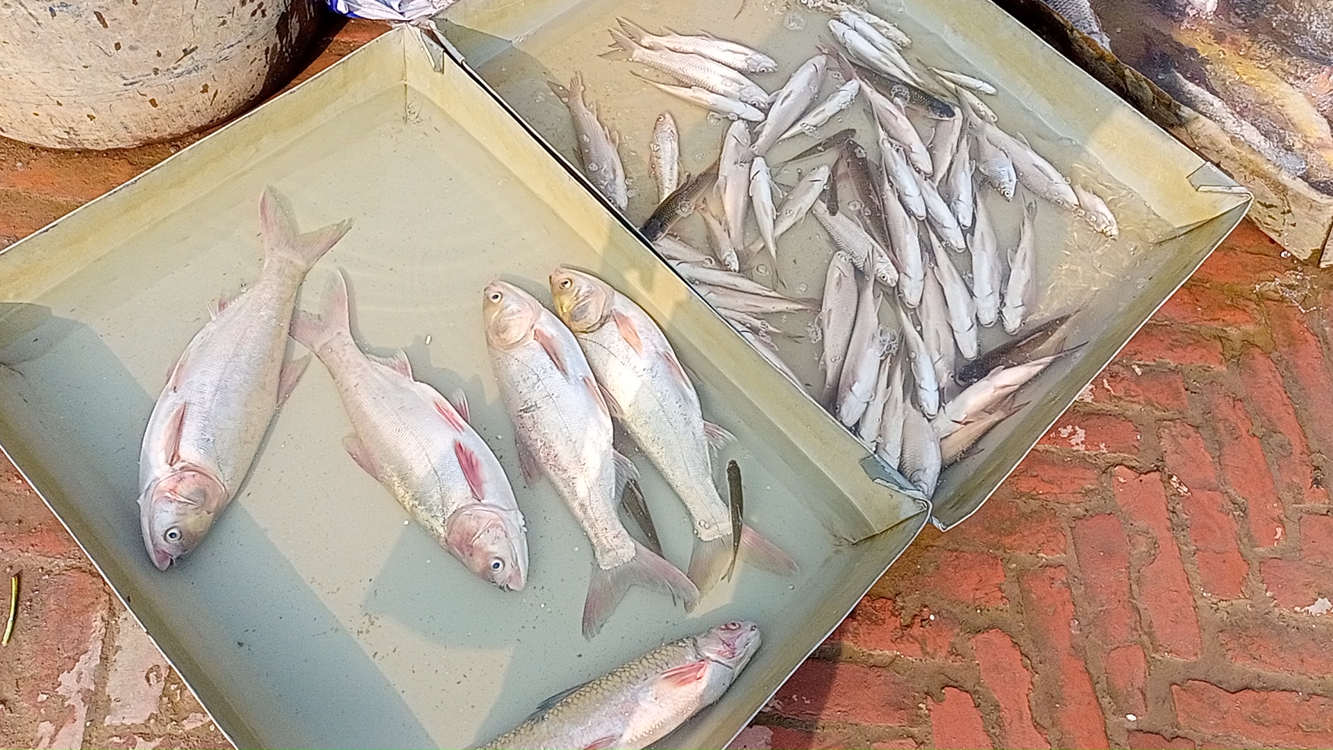 IMG20260120143448.jpg