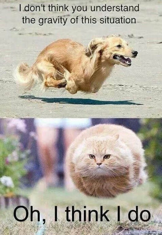 gravity.jpg