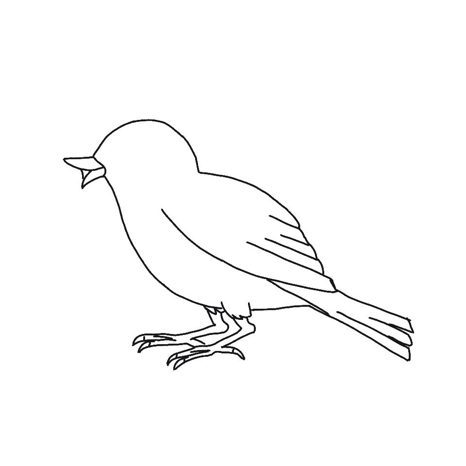 Project 1 (3).png