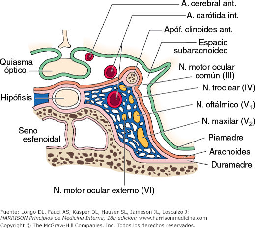 har_ch376_f004.png