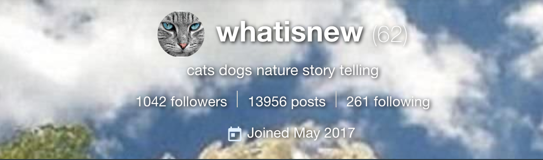 Screen Shot 2019-09-13 at 1.35.28 pm.png