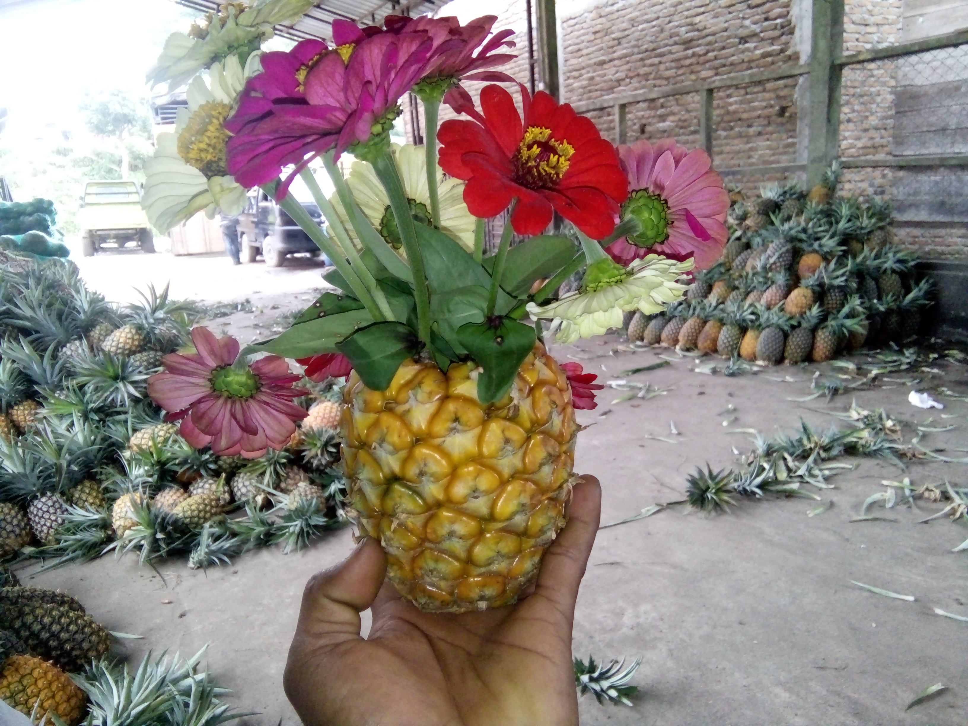 IMG20200416133630.jpg