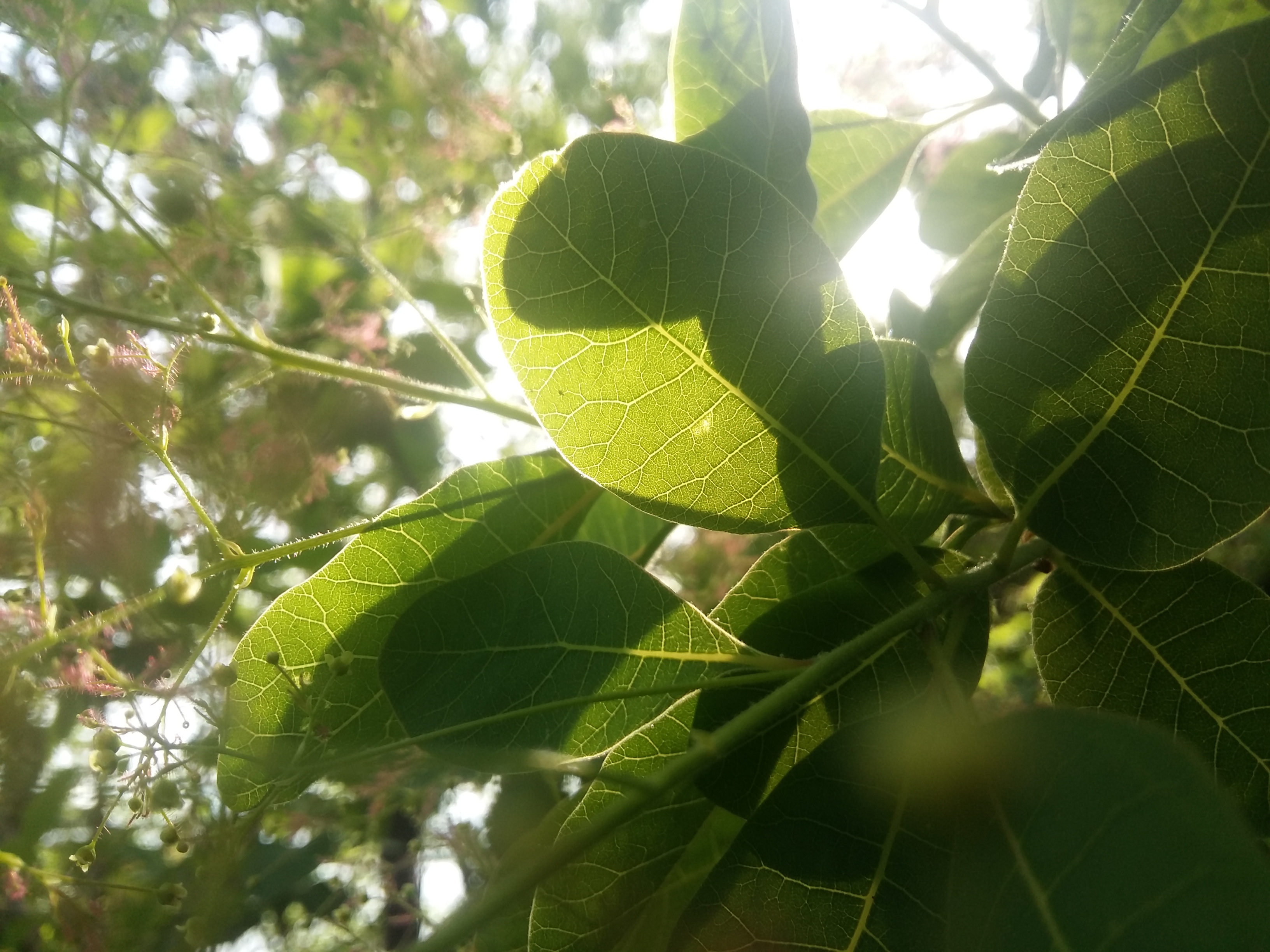 20180504_171050.jpg