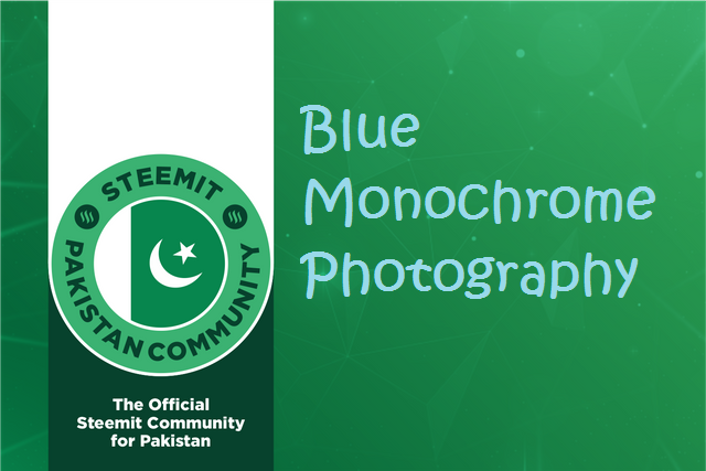 banner - Copy.png