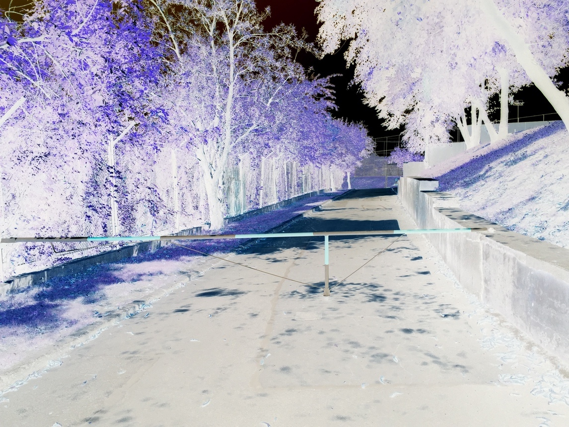 IMG4945negative.jpg