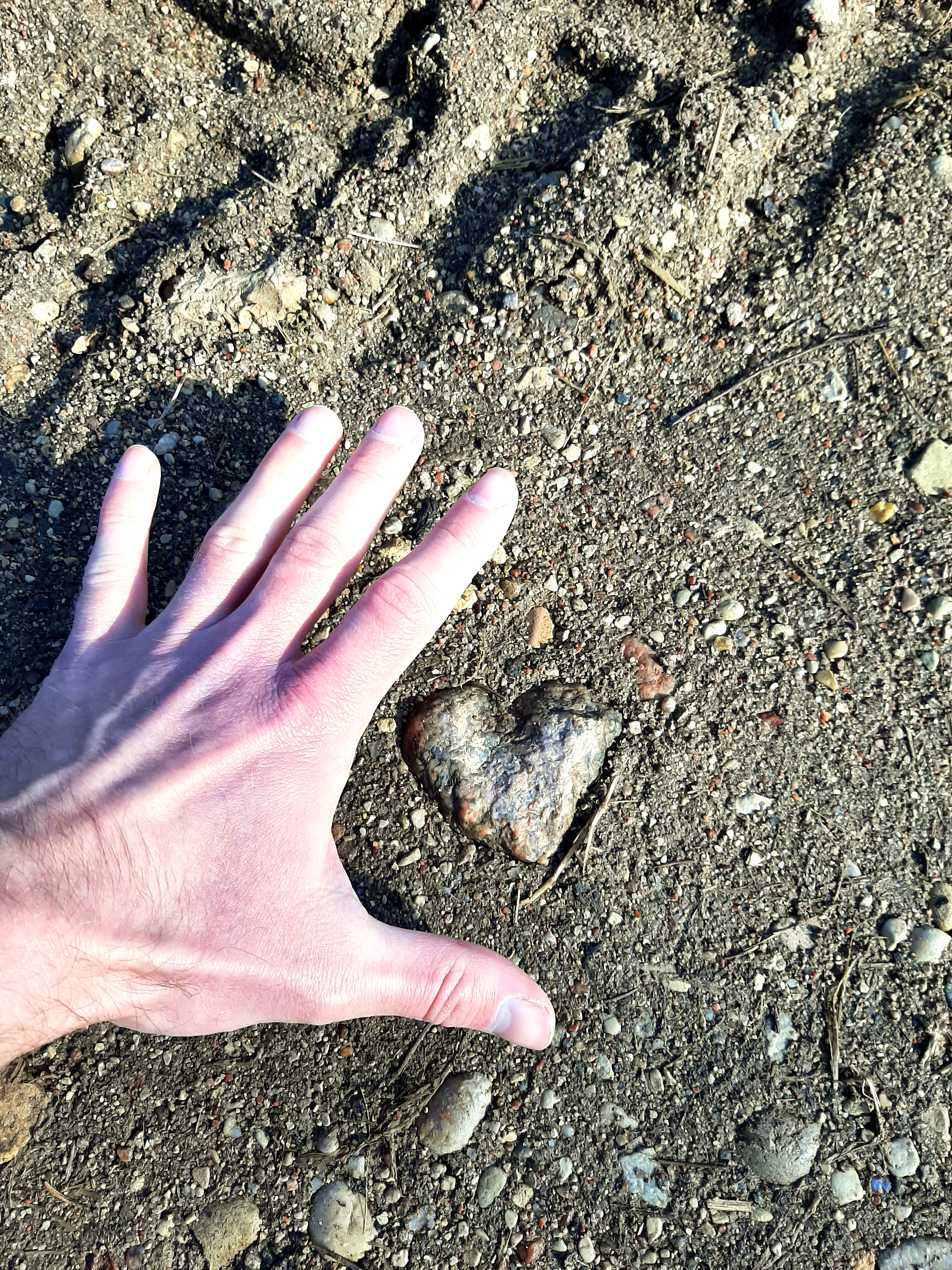 20260317_111649.jpg