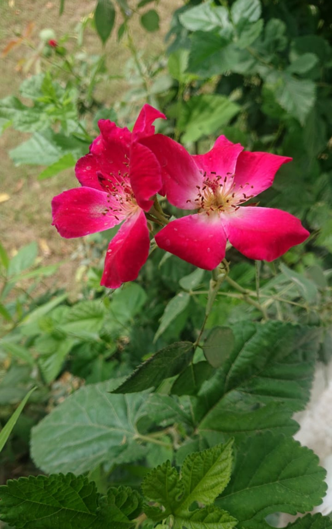 20210915_210149.jpg