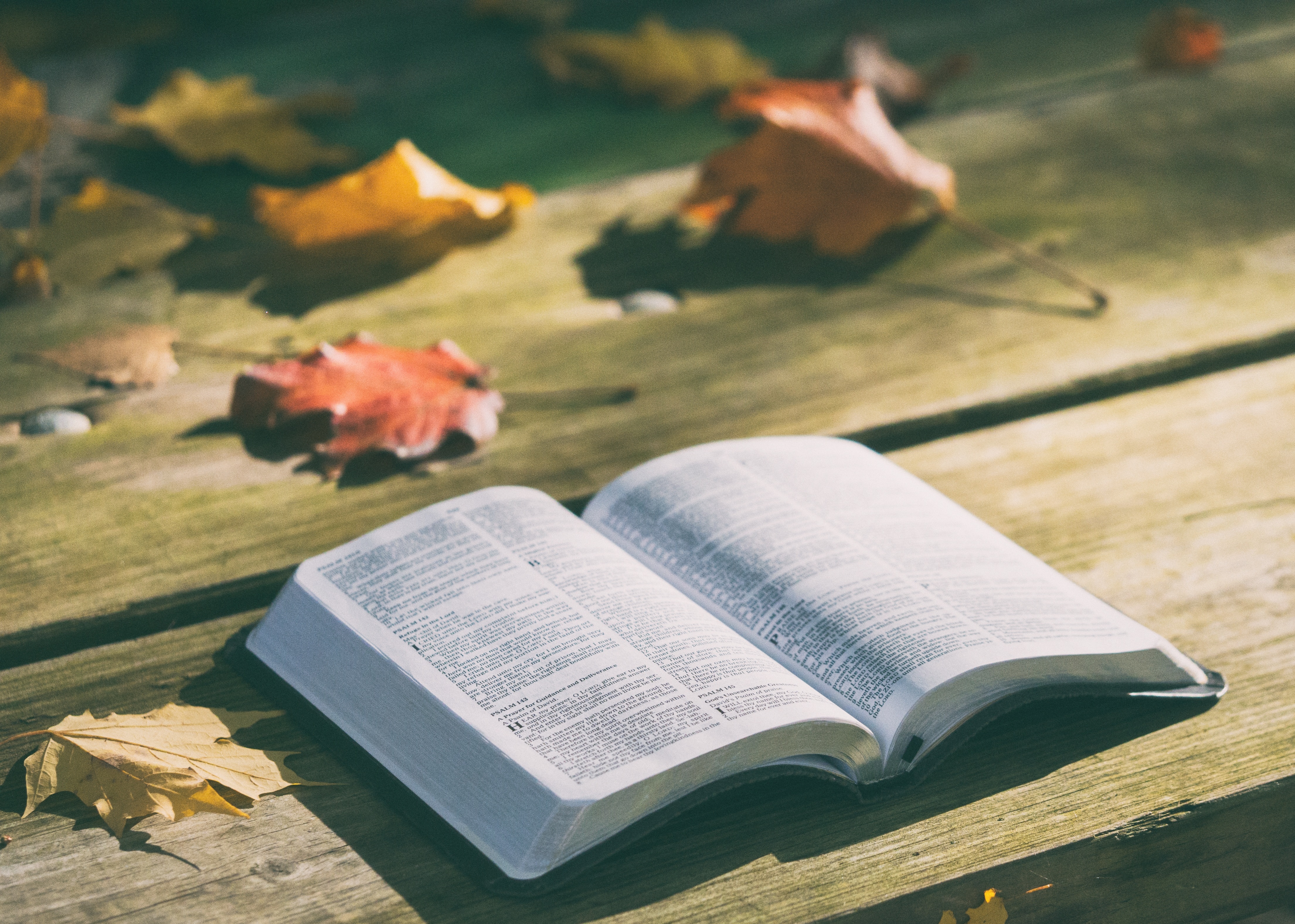 pexels-bible-1868070.jpg